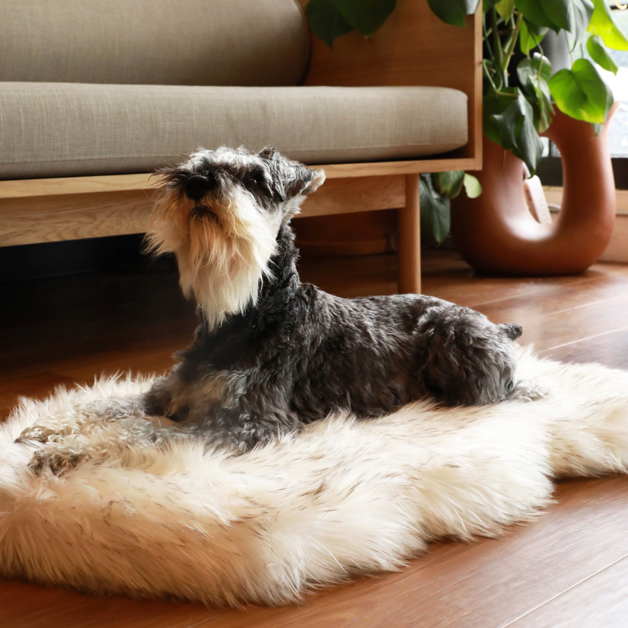 PupRug™ Faux Fur Orthopedic Dog Bed - Curve White with Brown Accents