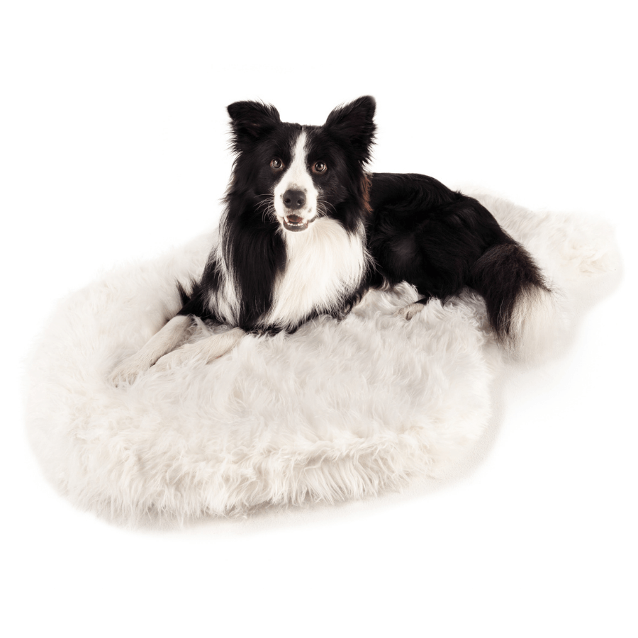 PupRug™ Faux Fur Orthopedic Dog Bed - Curve Polar White