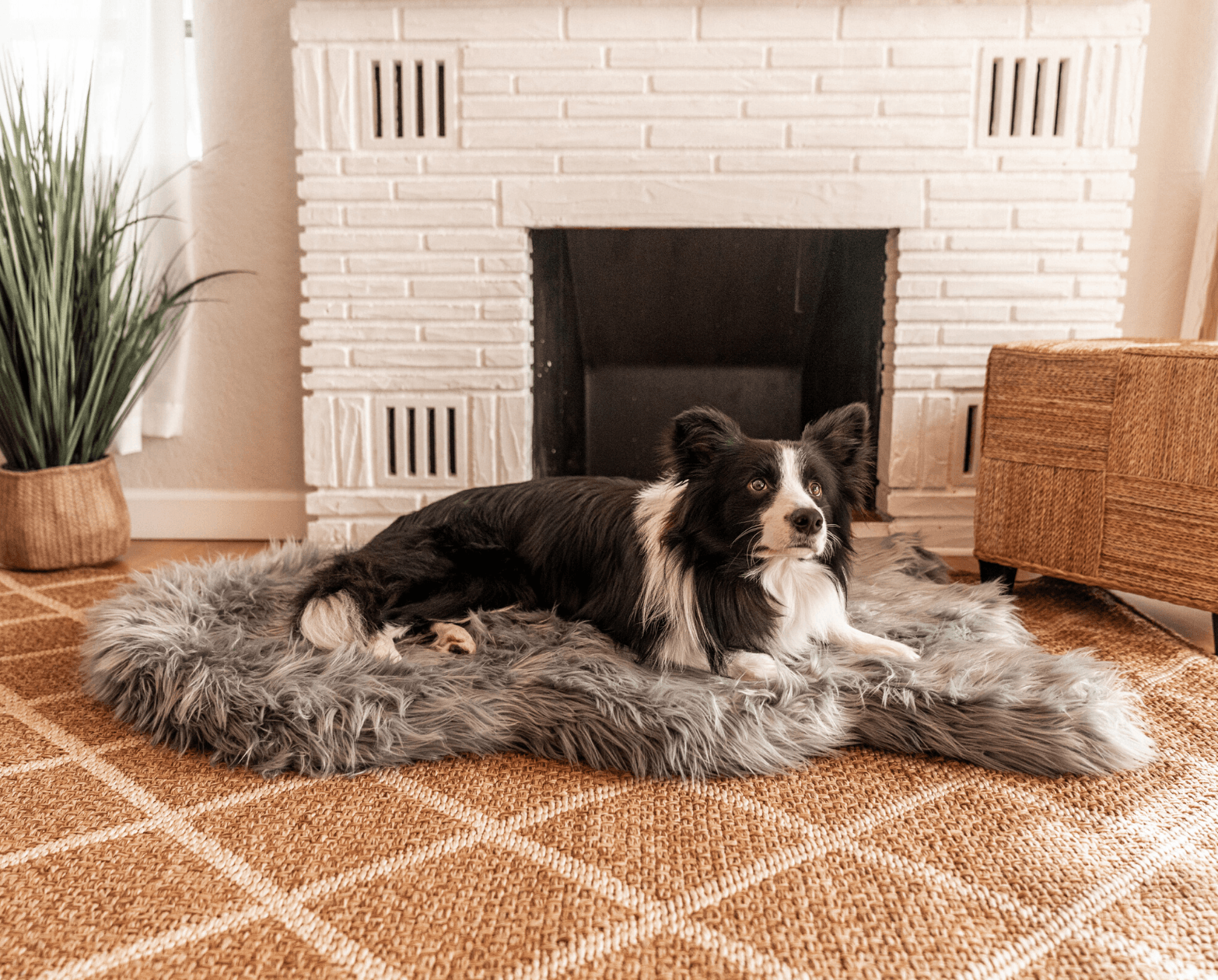 PupRug™ Faux Fur Orthopedic Dog Bed - Curve Charcoal Grey