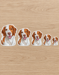 Load image into Gallery viewer, Custom Pet Stickers | Alpha Paw
