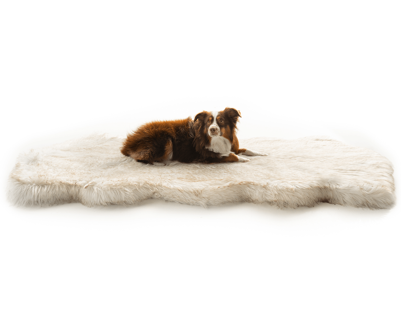 PupRug™ Runner Faux Fur Memory Foam Dog Bed - Curve White with Brown Accents