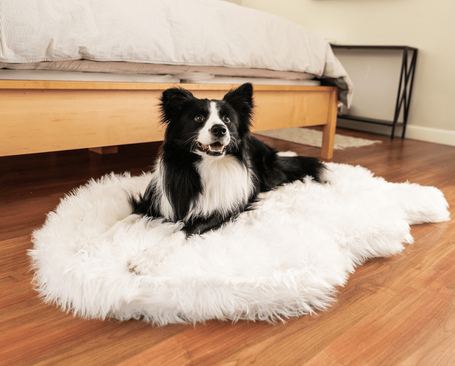 PupRug™ Faux Fur Orthopedic Dog Bed - Curve Polar White