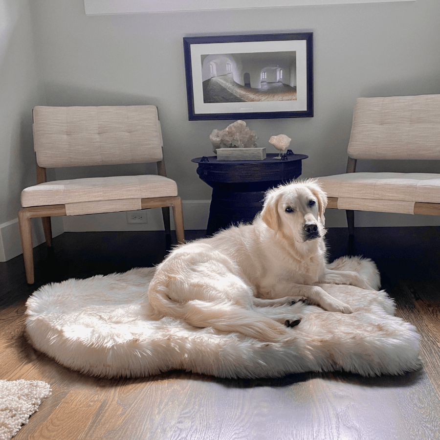 PupRug™ Faux Fur Orthopedic Dog Bed - Curve White with Brown Accents