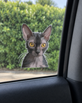 Load image into Gallery viewer, Custom Pet Stickers | Alpha Paw
