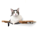 Load image into Gallery viewer, Dog Proof Cat Feeder - Wall-Mounted - Raised
