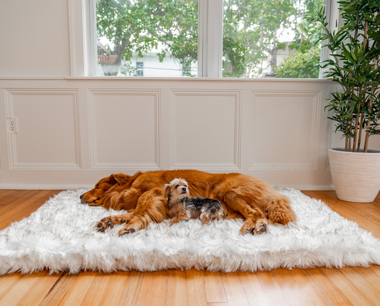 PupRug™ Faux Fur Orthopedic Dog Bed - Rectangle White with Brown Accents