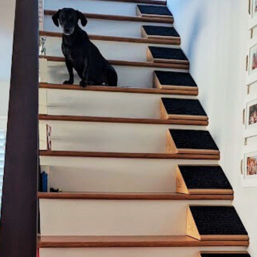 Stairwedge dogs
