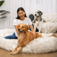 Load image into Gallery viewer, PupCloud™ Human-Size Dog Bed + Matching Waterproof Blanket Bundle - White with Brown Accents
