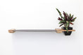 Load image into Gallery viewer, Cat Hammock Wall with Planter
