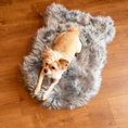 Load image into Gallery viewer, PupRug™ Faux Fur Orthopedic Dog Bed - Curve Charcoal Grey
