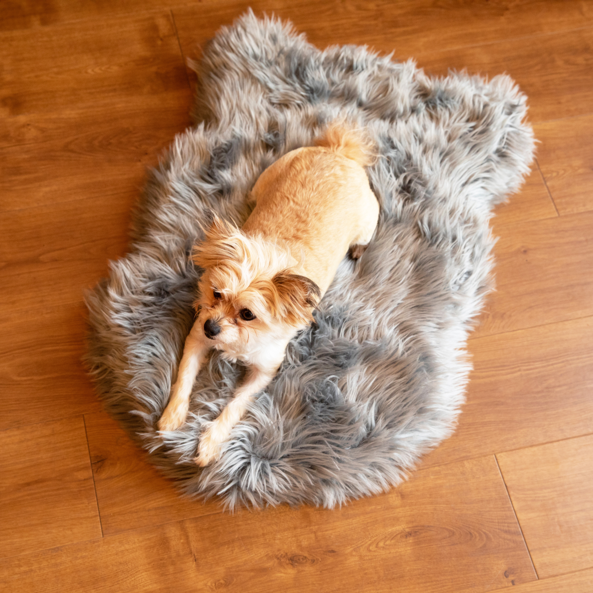 PupRug™ Faux Fur Orthopedic Dog Bed - Curve Charcoal Grey