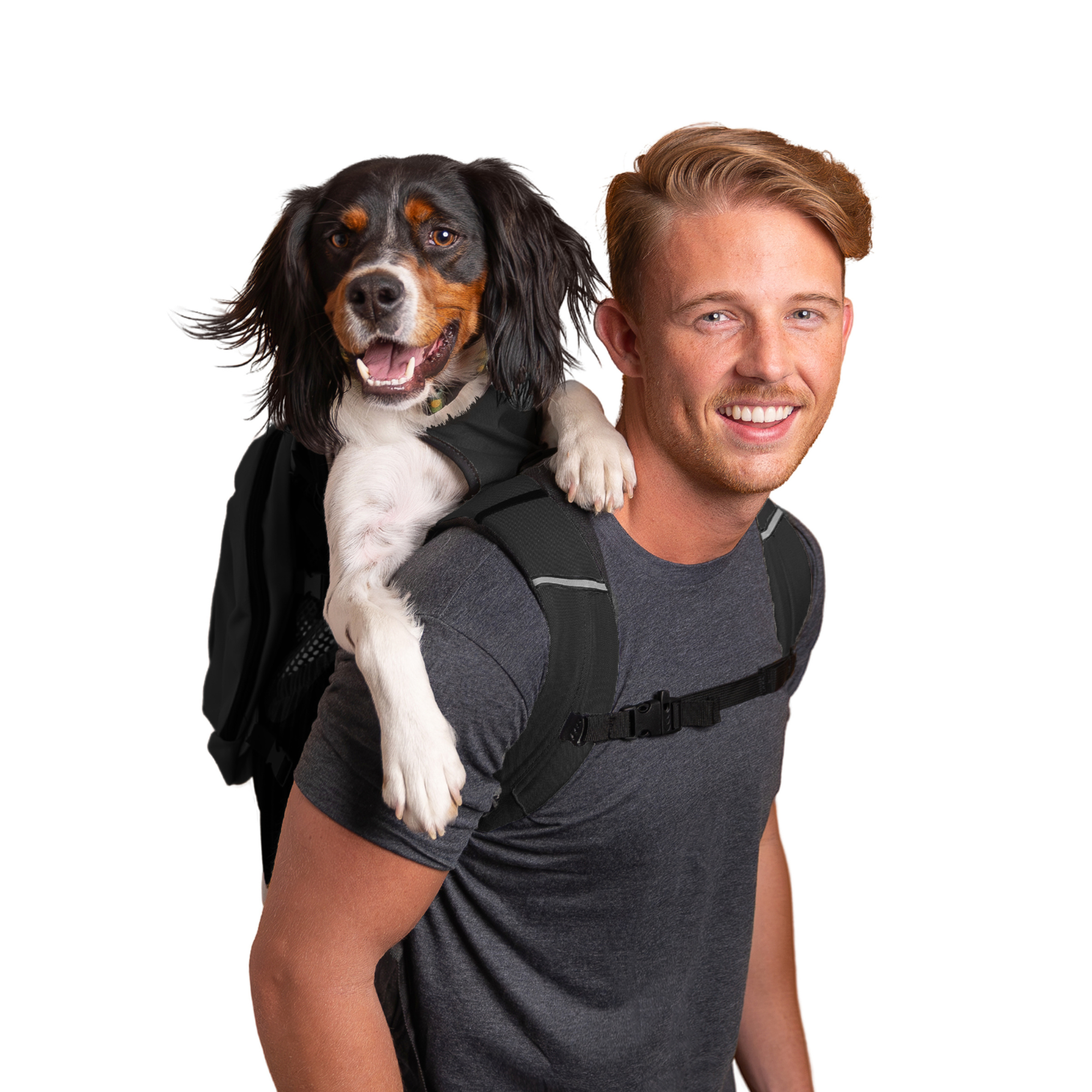 Plus 2 | Easy Dog Carrier with Removable Treat Storage