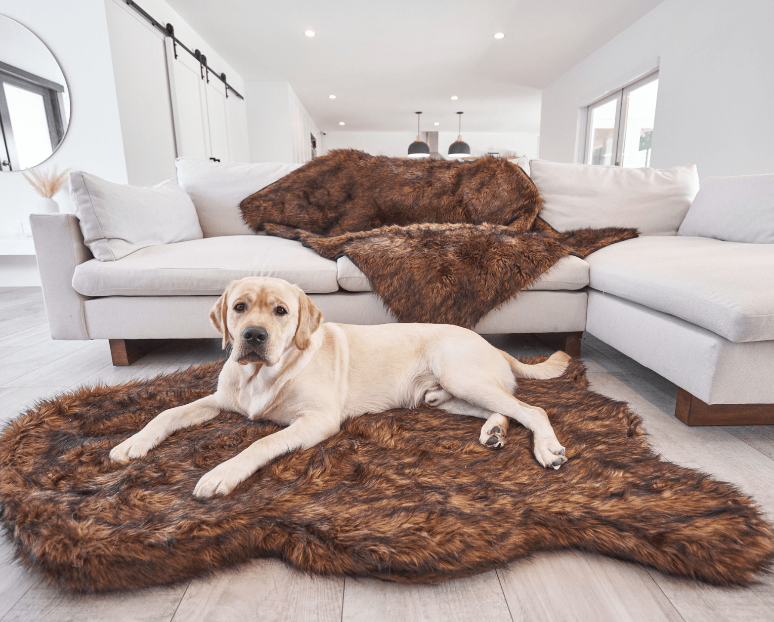 PupRug™ Faux Fur Orthopedic Dog Bed - Curve Brown