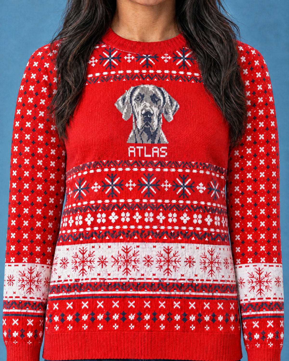 Custom Pet Knitted Holiday Sweater - Candy Cane Red