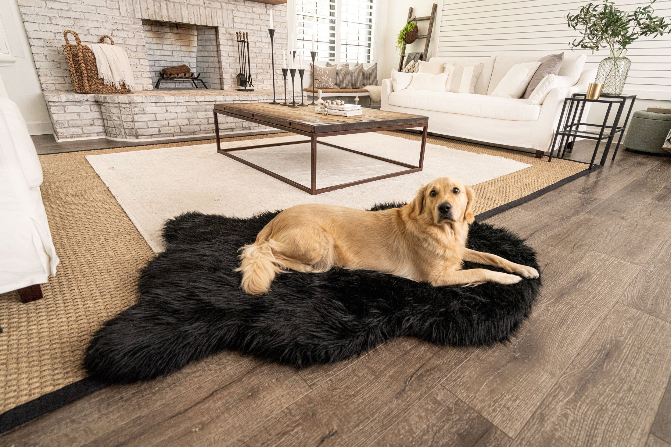 PupRug™ Faux Fur Orthopedic Dog Bed - Curve Midnight Black