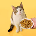 Load image into Gallery viewer, BoneItUp® Cat Edition Homemade Treats Kit
