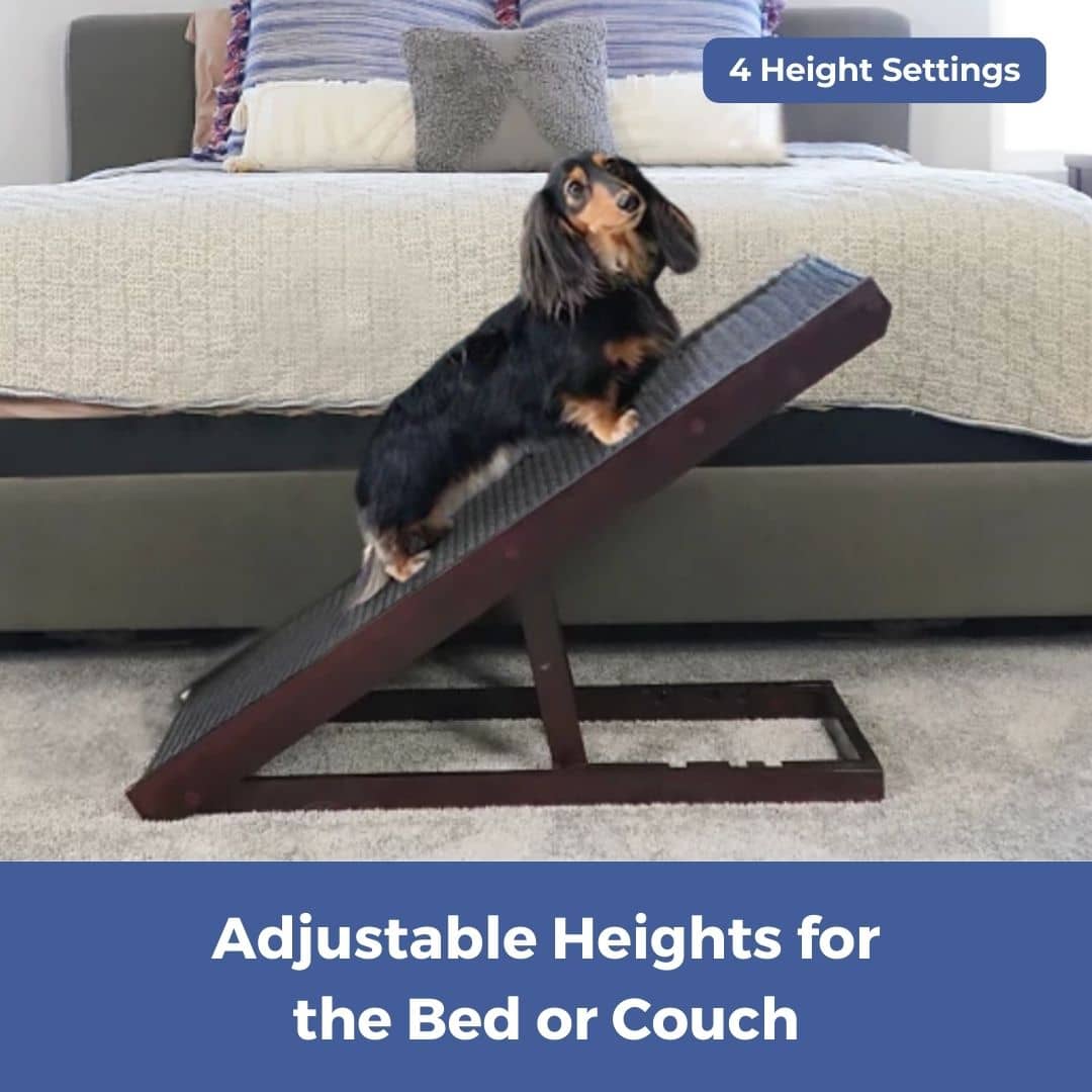 DachRamp™ - The #1 Vet-Recommended Way to Protect Your Dachshund's Back & Joints