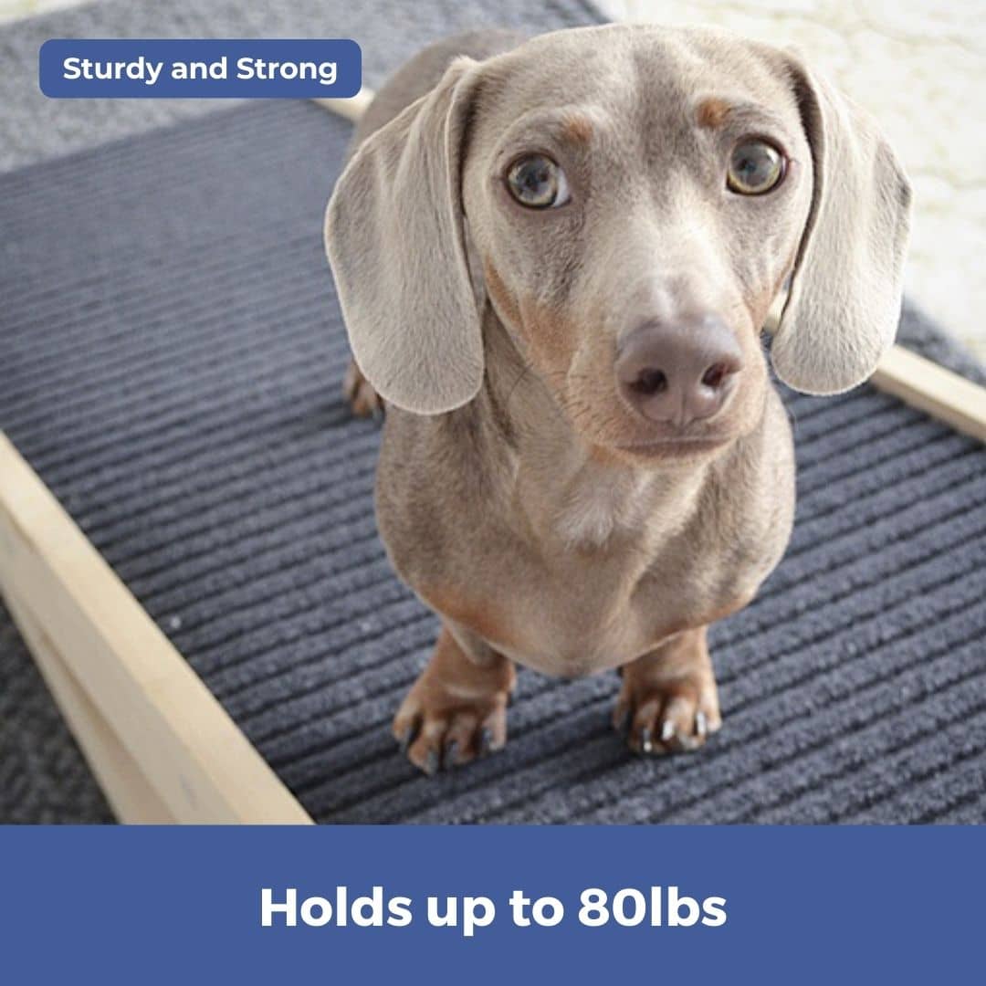 Alpha Ramp Dog Ramps for Dachshunds | DachRamp™ by Alpha Paw