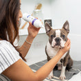 Load image into Gallery viewer, Antibacterial & Antifungal Medicated Ear Flush
