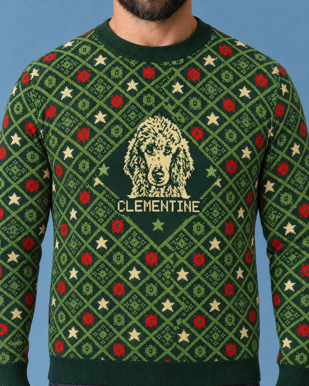 Custom Pet Knitted Holiday Sweater - Evergreen Classic