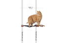 Load image into Gallery viewer, Dog Proof Cat Feeder - Wall-Mounted - Raised
