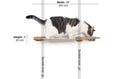 Load image into Gallery viewer, Dog Proof Cat Feeder - Wall-Mounted - Raised

