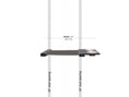Load image into Gallery viewer, Dog Proof Cat Feeder - Wall-Mounted - Raised
