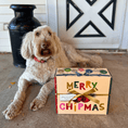 Load image into Gallery viewer, Santa Paws' Best Chipmas Dog Treat Box
