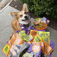 Load image into Gallery viewer, Halloween Dog Treat Snack Pack 24-Piece Bundle
