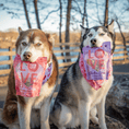 Load image into Gallery viewer, Puppy Love Dog Treat | Poultry Treat Variety Pack
