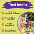 Load image into Gallery viewer, Halloween Dog Treat Snack Pack 24-Piece Bundle
