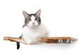 Load image into Gallery viewer, Dog Proof Cat Feeder - Wall-Mounted - Raised
