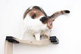 Load image into Gallery viewer, The Play - A Cat Play Wall System
