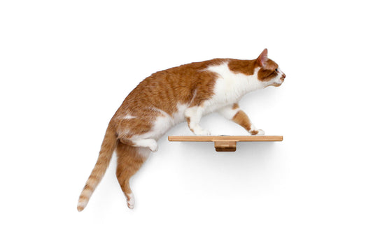 Cat Perch - Wall Mounted and Wooden
