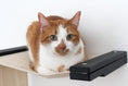 Load image into Gallery viewer, The Play - A Cat Play Wall System
