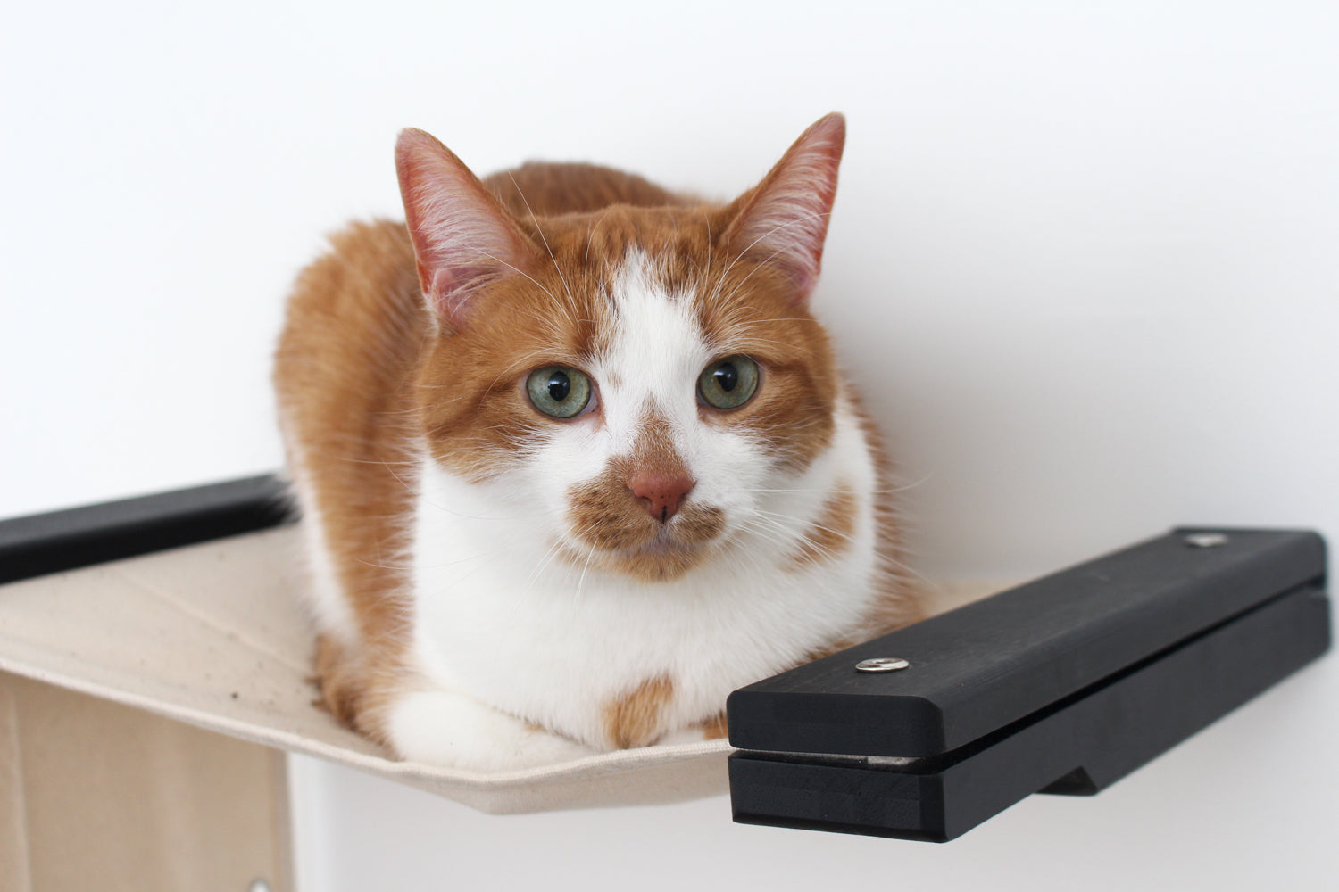 The Play - A Cat Play Wall System