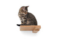 Load image into Gallery viewer, Cat Climbing Shelf
