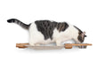 Load image into Gallery viewer, Dog Proof Cat Feeder - Wall-Mounted - Raised
