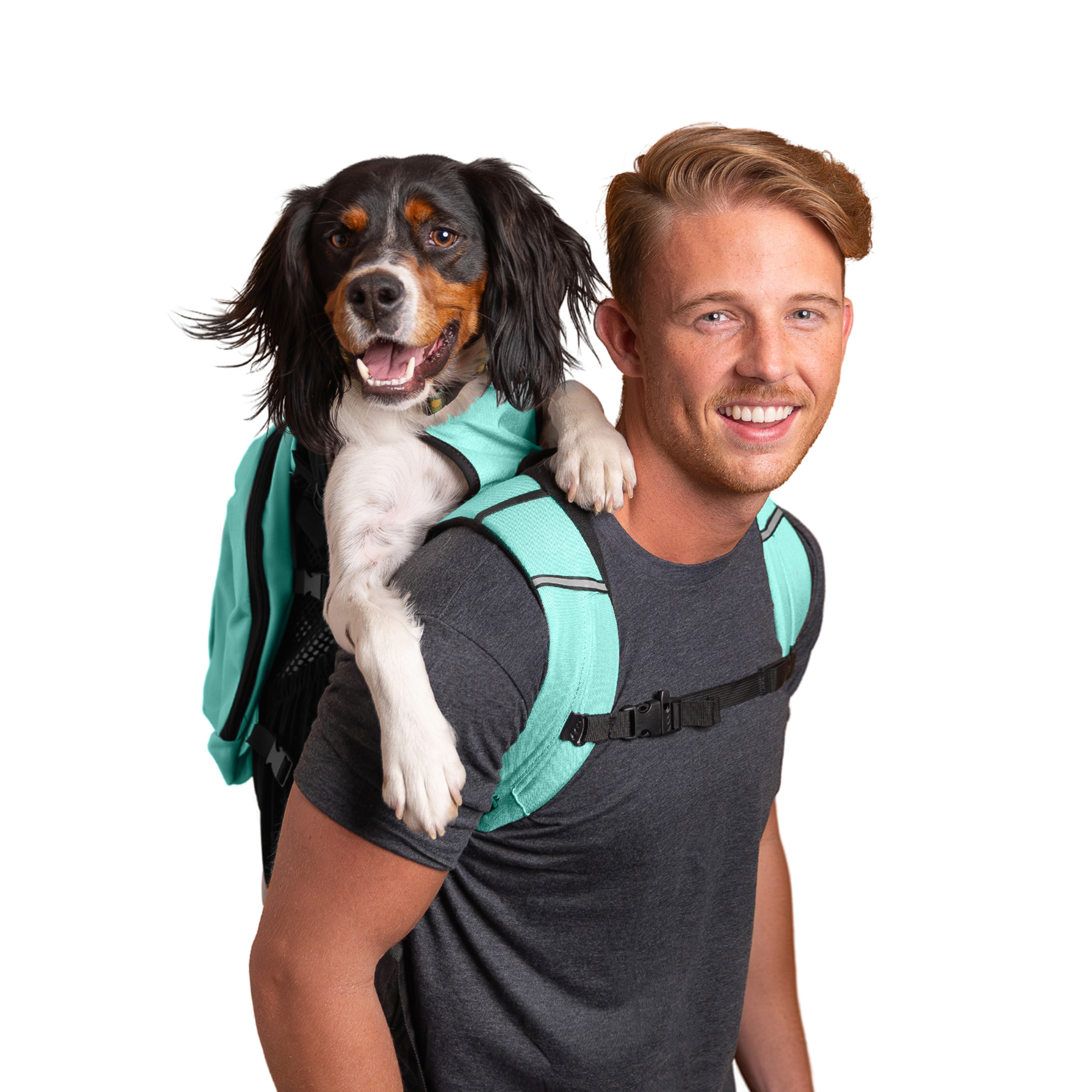 Plus 2 | Easy Dog Carrier with Removable Treat Storage
