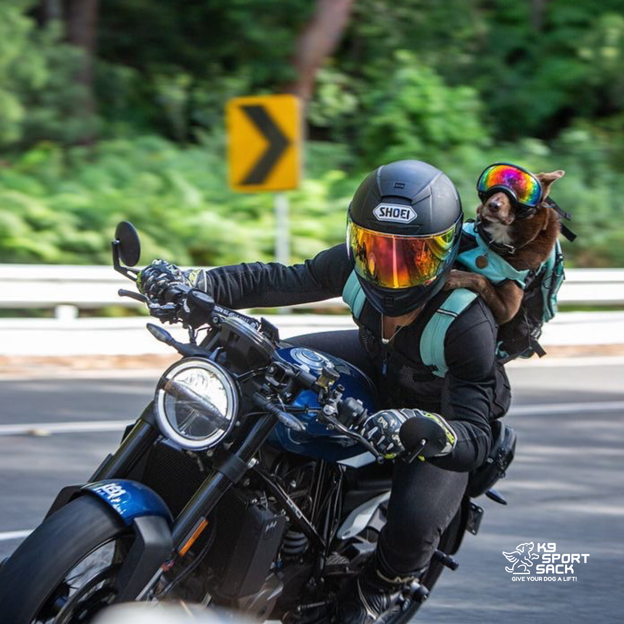 Plus 2 | Easy Dog Carrier with Removable Treat Storage