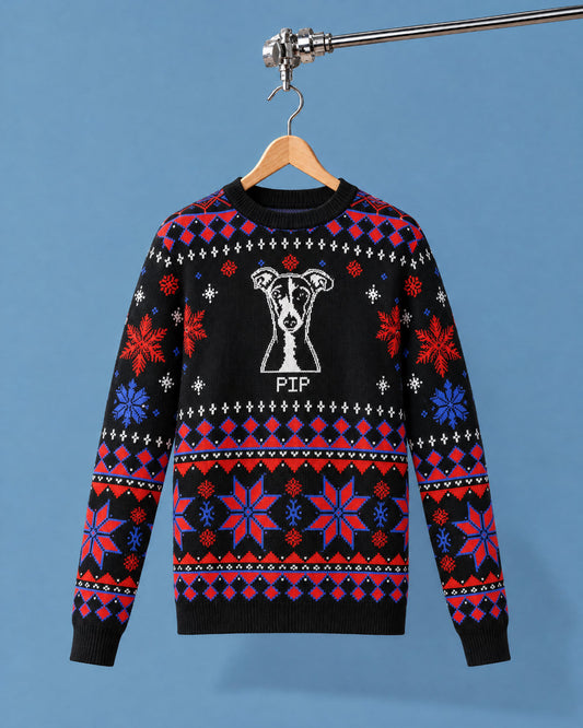 Custom Pet Knitted Holiday Sweater - Night Before Christmas