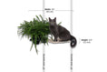 Load image into Gallery viewer, Cat Hammock Wall with Planter
