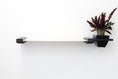 Load image into Gallery viewer, Cat Hammock Wall with Planter
