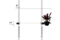 Load image into Gallery viewer, Cat Hammock Wall with Planter
