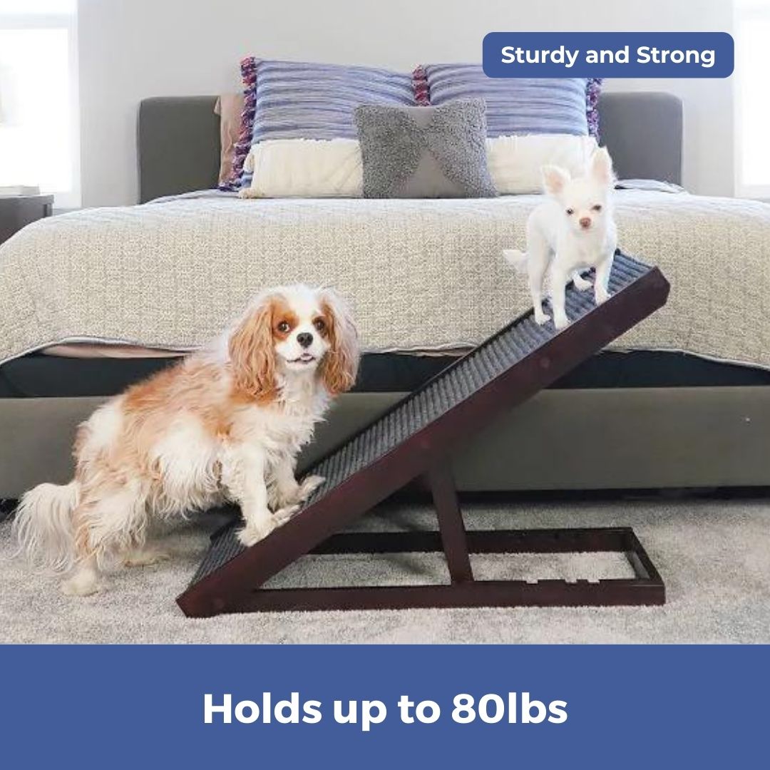Padded Dog Ramp Bed & Couch Ramps for Dogs | PawRamp™ by Alpha Paw