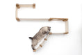 Load image into Gallery viewer, The Play - A Cat Play Wall System
