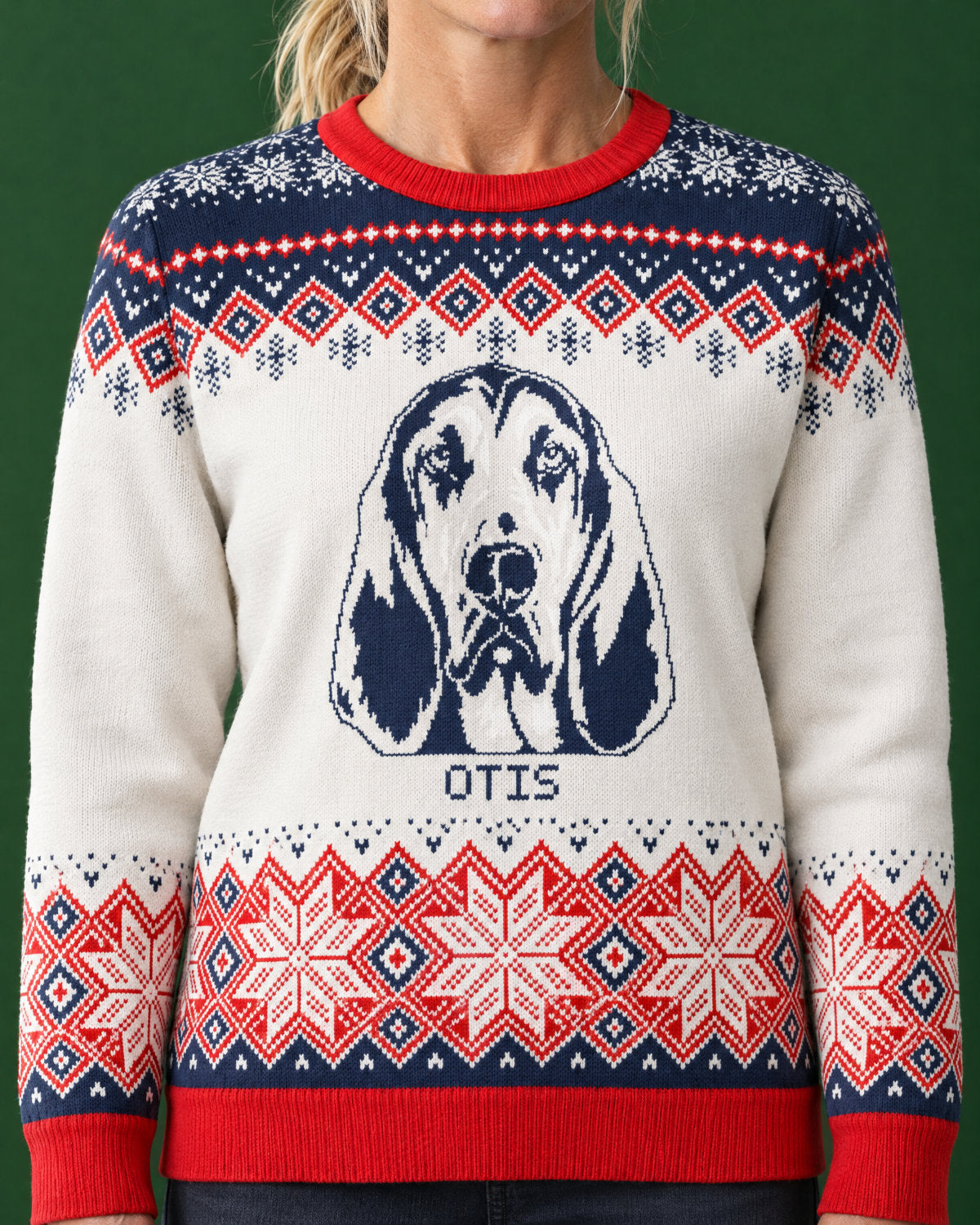 Custom Pet Knitted Holiday Sweater - Polar Express