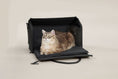 Load image into Gallery viewer, Porto Cat Carrier
