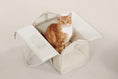 Load image into Gallery viewer, Porto Cat Carrier
