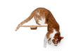 Load image into Gallery viewer, Cat Perch - Wall Mounted and Wooden
